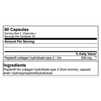 GN Laboratories Collagen Peptide Type 2 | 60 Kapseln
