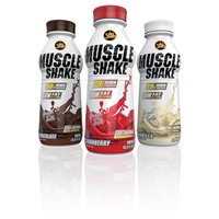 All Stars Muscle Shake | 500 ml Chocolate