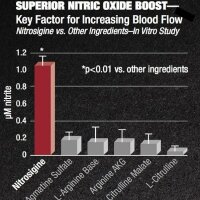 BPS-Pharma #Not4Pussy Ultimate Pump Matrix 250g